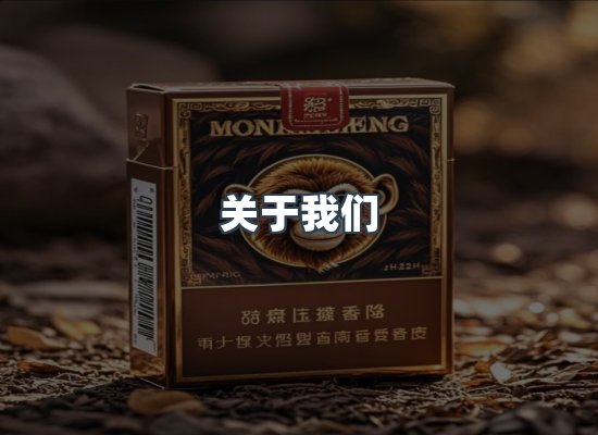 关于我们